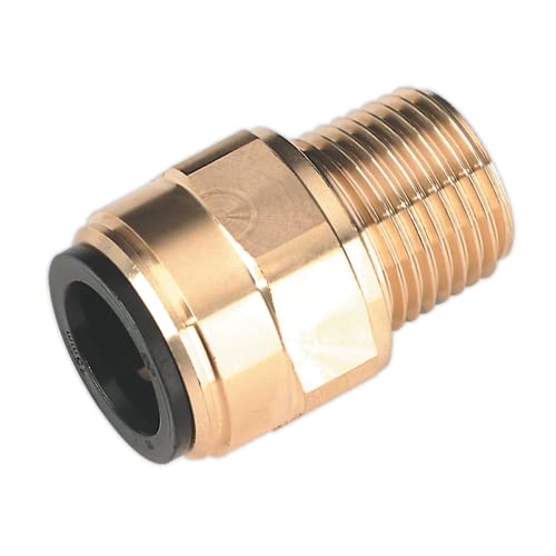 Sealey Cas15Bsa - 15 Millimetri X 1/2-Inch Adattatore In Ottone Bspt Dritto