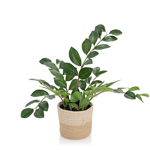 Hjh Office Pianta Artificiale Zamie Altezza 50 Cm Verde Deco Zamioculcas Piuma Fortunata Artificiale, 871008