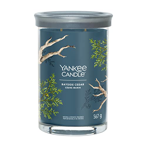 Yankee Candle Signature Candela Profumata, Cedro Lungo La Costa In Tumbler Grande, Candele Di Miscela Di Cera Di Soia Lunga Durata, Regalo Per Le Donn