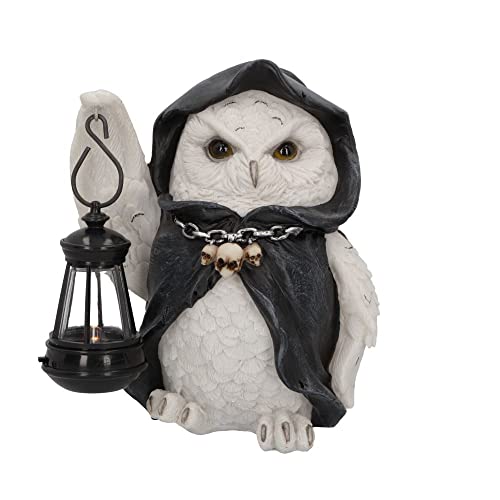 Nemesis Now Reapers Flight Owl Lanterna Figurina, Bianco 17 Cm