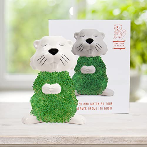 Gift Republic – Fioriera Di Castoro | Il Castoro In Ceramica Per Coltivare Semi Di Chia | Ciotola In Castoro | Chia Seeds Starter Kit | Beaver Plant S