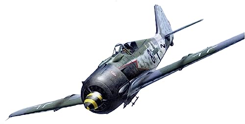 Focke-Wulf Fw190 A-8/A-8 R2