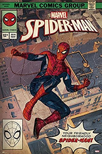 Poster Marvel Spider-Man Comic Front