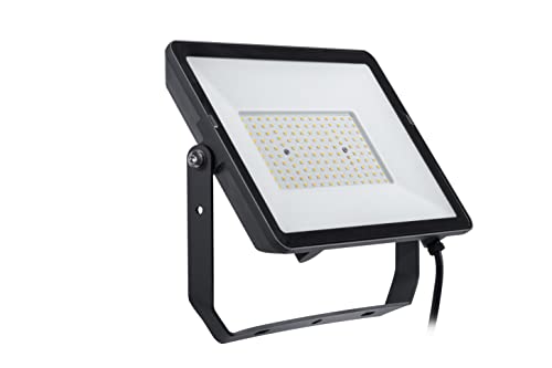 Philips Projectline, Proiettore Led, 100W, Luce Bianca Fredda, Illuminazione Commerciale E Esterna