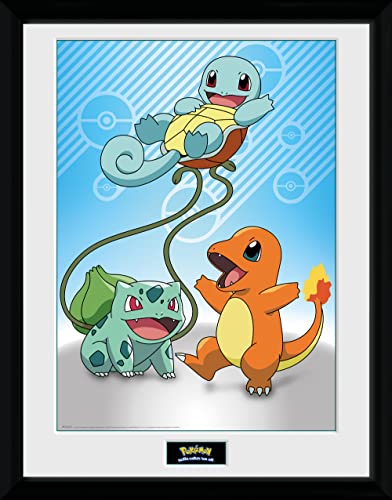 Gb Eye Limited Gb Eye Ltd, Pokemon, Kanto Starter, Stampa Incorniciata, 30 X 40 Cm, Legno, Multi-Colour, 52 X 44 X 3 Cm