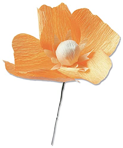 Sizzix Thinlits Die Set 5Pk California Poppy Di Lisa Jones, 664921, Multicolor, Taglia Unica