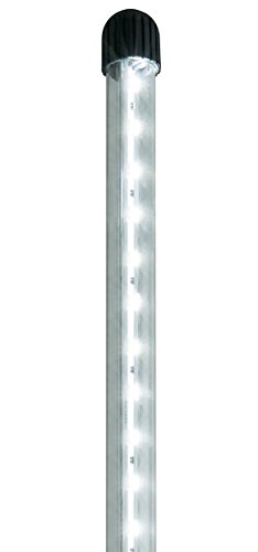 Juwel Aquarium 49280 Novolux Led 80 Bianco