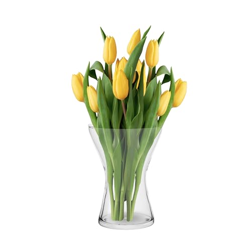Trend For Home Vaso Fiori Vaso Per Fiori Vaso Da Interno Vaso Vetro Trasparente Vasi Moderni Da Interno Design Per Decorazioni Casa | Altezza 19 Cm |