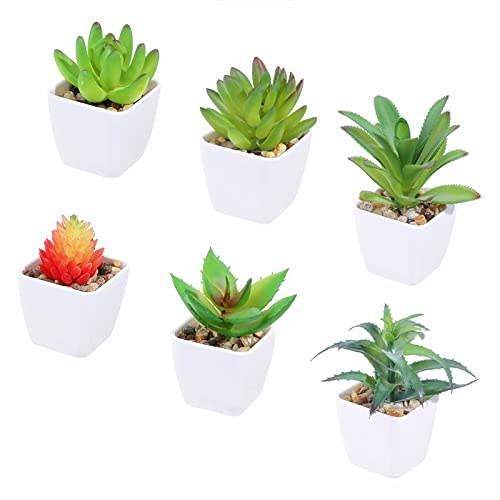Tifuly 6 Pezzi Piante Succulente In Vaso Artificiali, Piante Grasse Realistiche Piccole Piante Verdi Finte Con Vaso In Melamina Per La Decorazione Del