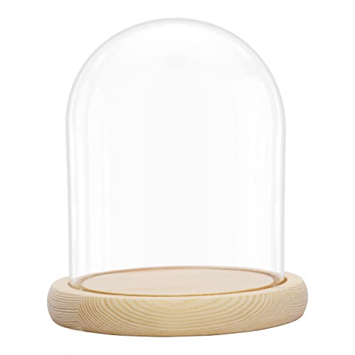 Belle Vous Campana Di Vetro Con Base In Legno Naturale - Cupola Vetro 16,2 Cm - Teca Vetro Esposizione Trasparente - Campana Vetro Base Legno Per Luci