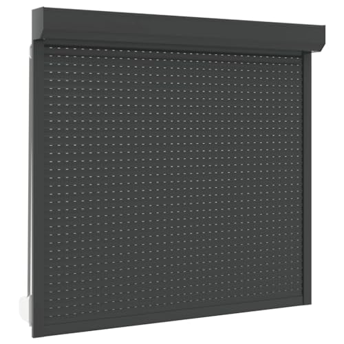 Vidaxl Tapparella Avvolgibile Moderna Innovativa Prefabbricata Funzionale Alte Prestazioni Durevole Serranda Tenda In Alluminio 160X150 Cm Antracite