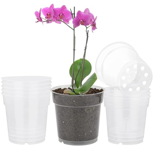 Tskdkit 10 Pieza Vasi Per Orchidee Vasi Trasparenti Plastica Piccoli Vaso Orchidee Plastica 11,5Cm Vasi Fiori Per Interni, Esterni, Giardino, Balcone,