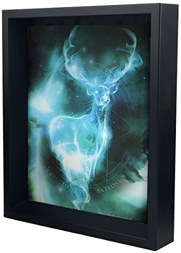 Pyramid International Quadro Immagine 3D Lenticular 24X29Cm Con Cornice Expecto Patronum