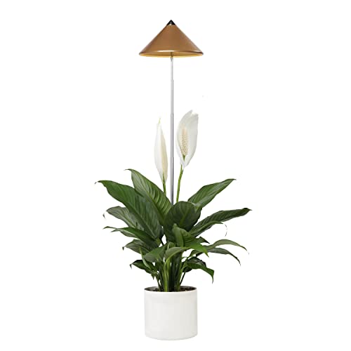 Parus By Venso Sunlite Piantana 7W Rame, Lampada Di Crescita A Led Con Asta Telescopica, Luce Di Crescita Per Piante Da Interno E Piante Verdi