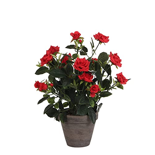 Mica Decorations Fiori 948333, Rose, Colore: Rosso