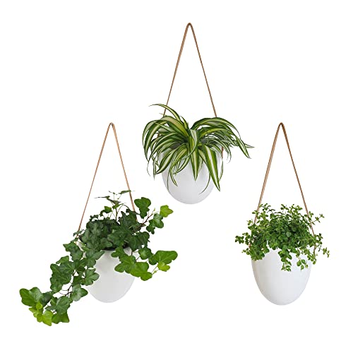 Gadgy Vasi Da Parete | Set Di 3 | Fioriera Da Parete | Porte Piante Da Parete | Vasi Appesi | Porta Piante Da Parete | Vasi Da Appendere Al Muro | Por