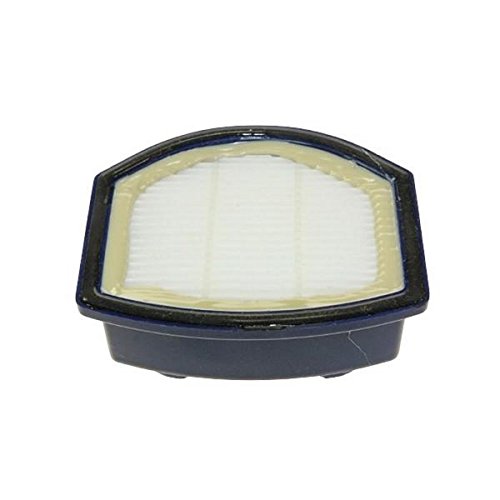 Hoover 35601149 S101 Hepa Filter 35601149-Filtro, Plastic, Misto