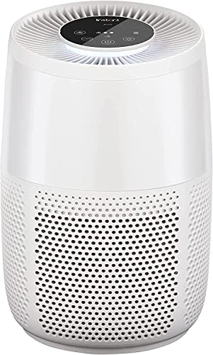 Instant Air Purifier Ap100, Purifier Rimuove Il 99,9% Di Batteri, Virus E Spore Di Muffa. Sistema Di Filtraggio Avanzato 3 In 1 Hepa/Purificatore D'Ar