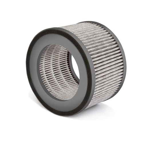 Filtro Ricambio Purificatore D'Aria Soehnle Per Depuratore Aria Casa Airfresh Clean 300 Filtro Carbone Attivo Depuratore Efficace