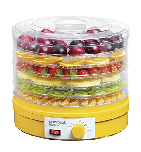 Essicatore Frutta Verdura Fungi Erba 6 Contenitori Concept
