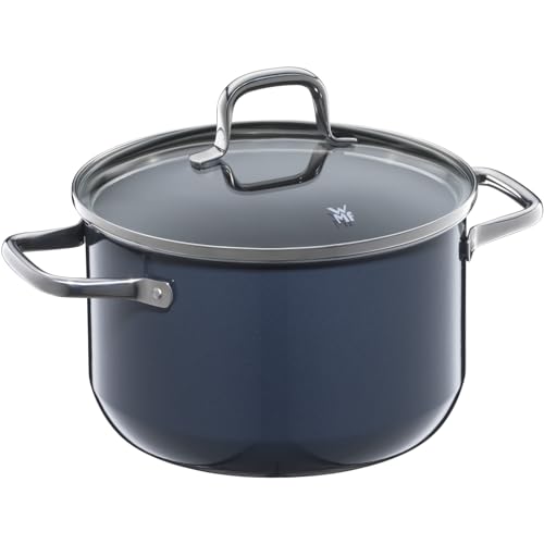 Wmf Fusiontec Essential - Pentola Grande, 20 Cm, Coperchio In Vetro, Per Carne A Induzione, 3,7 L, In Ceramica High-Tech, Antigraffio, Non Rivestita, 