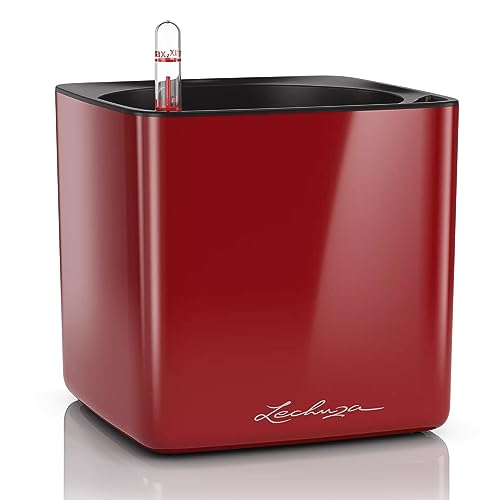 Lechuza Cube Glossy 16 Rosso Scarlatto High Gloss 13522