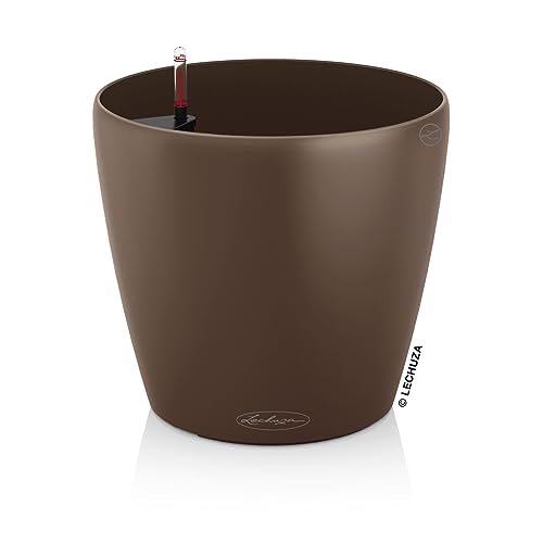Lechuza Classico Color 28 Noce Moscata 13203