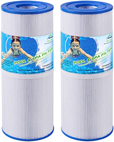 Toread - Filtro Spa Di Ricambio Per Pleatco Prb50-In, Unicel C-4950, Filbur Fc-2390, Guardian 413-212, Dynamic 03Fil1600, Pentair R173434, 5 X 13