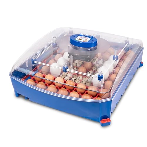 Borotto Lumia 56 Automatica - Incubatrice Per Uova Professionale Brevettata, Con Girauova Automatico - Per 56 Uova Medio/Grandi O 244 Uova Piccole