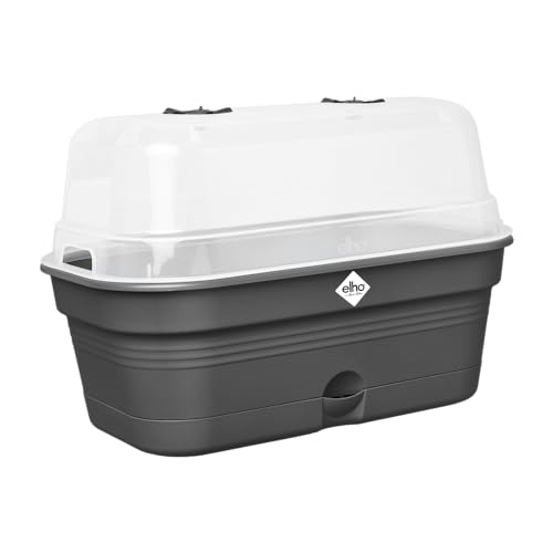 Elho Green Basics Grow Tray Allin1 L - Fioriera - Nero - Coltura E Raccolta - L 23 X W 39 X H 15.2 Cm