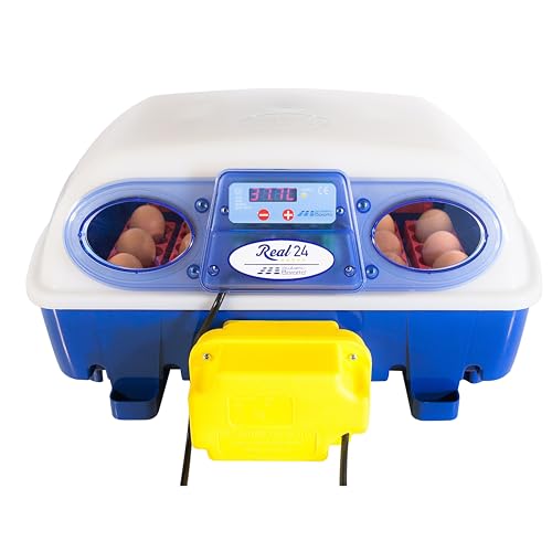Borotto Real 24 Automatica - Incubatrice Per Uova Automatica Professionale Brevettata, Con Girauova Automatico - Per 24 Uova O 96 Uova Piccole