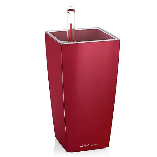 Lechuza Mini Cubi Rosso Scarlatto Lucido 18121