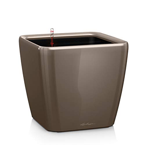 Lechuza Quadro Premium Ls 43 Taupe Lucido 16185