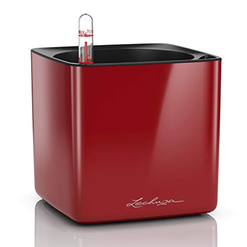 Lechuza Cube Glossy 14 Rosso Scarlatto High Gloss 13512