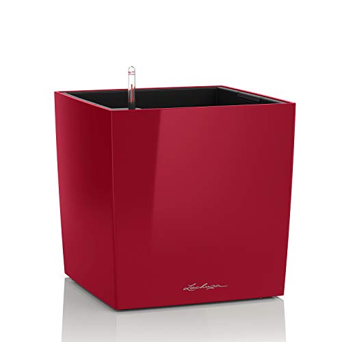 Lechuza Cube Premium 40 Rosso Scarlatto Lucido 16367