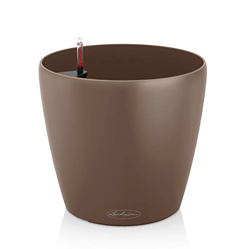 Lechuza Classico Color 18 Noce Moscata 13262