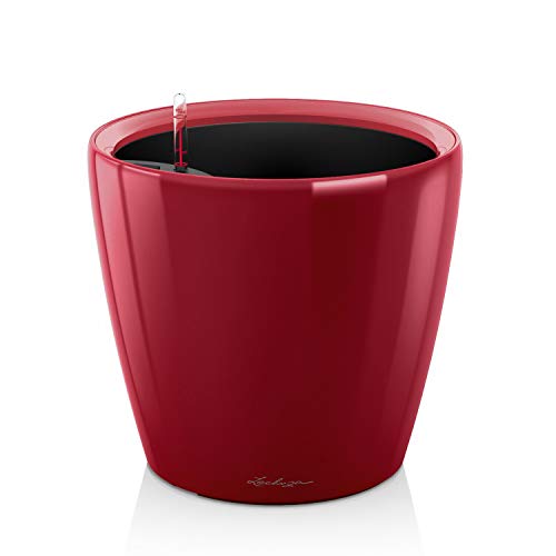 Lechuza Classico Premium Ls 35 Rosso Scarlatto Lucido 16067