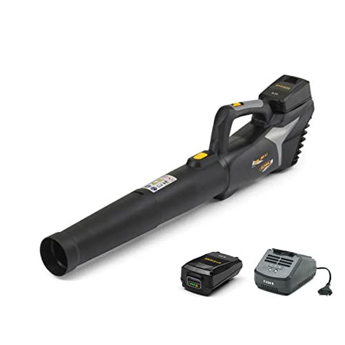 Alpina Soffiatore A Batteria Abl 20 Li Kit, Per Un Giardino Pulito E In Ordine, Batteria 20V (4 Ah), 280 W,Tubo Rimovibile Salvaspazio, Batteria E Car