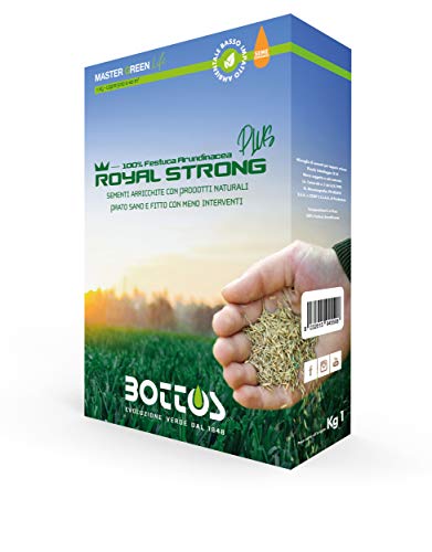 Semi Per Prato Royal Strong Plus 1 Kg Sementi Conciate 100% Festuca Arundinacea Tappeto Erboso