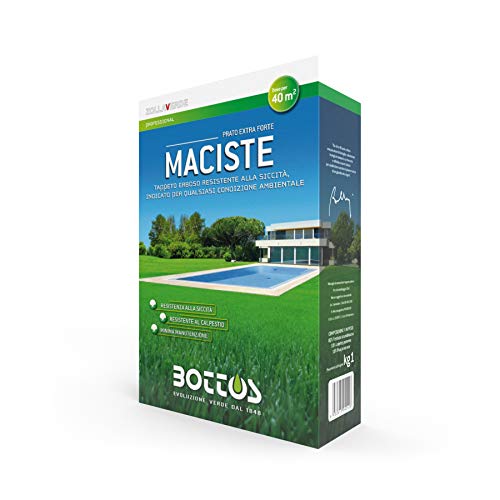 Bottos Maciste, Sementi Per Tappeto Erboso Prato Resistente E Rustico Ideale Per Zone Aride, 1Kg Per 40Mq
