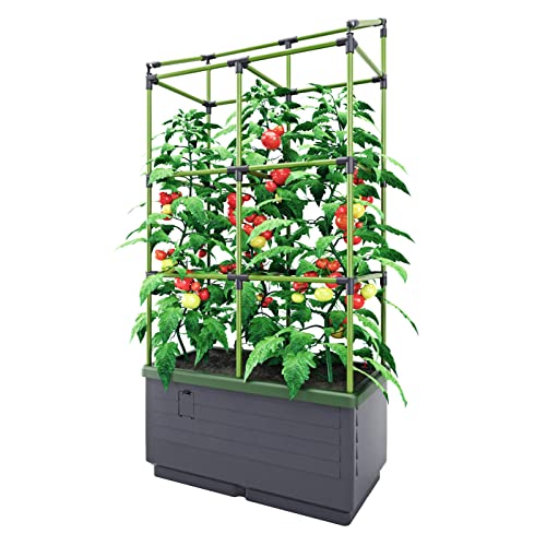 Bio Green City Jungle, Grigio, Verde, Jgl-T