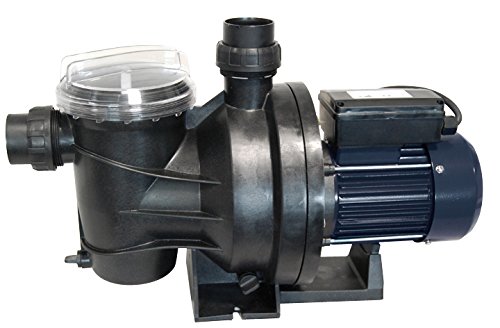 Spid' O 2962 Pc800 Pompa Di Piscina