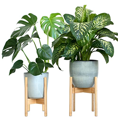 Gadgy Porto Piante Da Interno Design | Set 2 Pezi Supporto Piante | Porto Fiori Bambù Resistente | Per Vaso Che Vanno Da Ø 20 A 30 Cm. | Vaso E Pianta