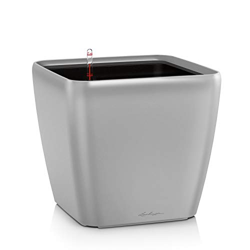 Lechuza Quadro Premium Ls 43 Argento Metallizzato 16188