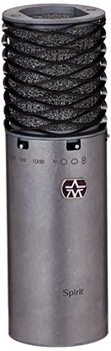 Aston Micophones, Microfono A Condensatore Professionale Spirit Con Diaframma Largo E Modello Polare