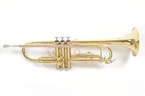 Roy Benson Bb-Trumpet Tr-101 (Progettato Professionalmente Con Alesaggio Ml, Con Leadpipe In Ottone Dorato, Custodia Rettangolare Leggera Inclusa, Con