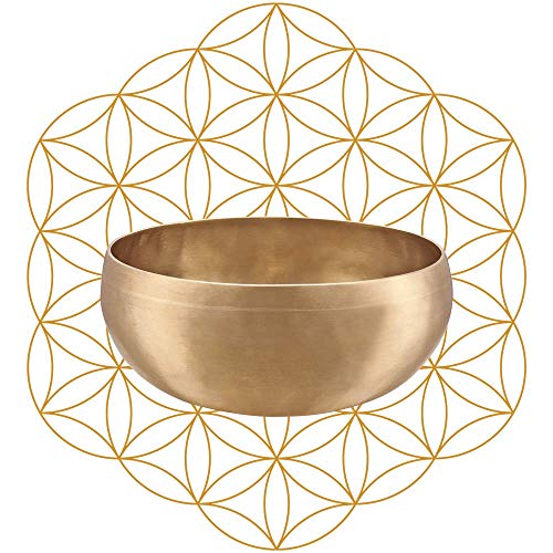 Singing Bowl Meinl
