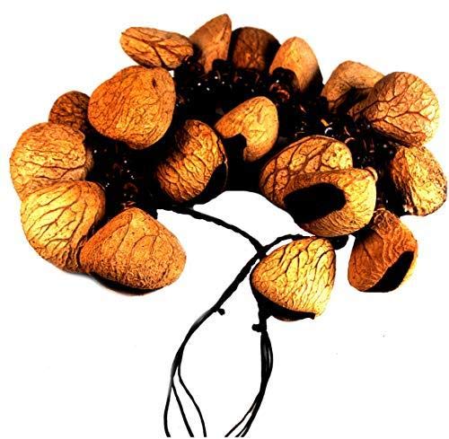 Fair Trade Shaman Rattle Maraca Calabash Piedino Tapar Nuts R116Foot