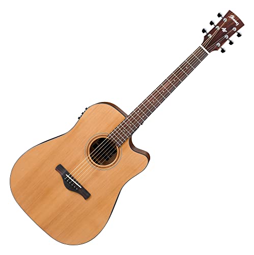 Ibanez Cutaway Western Guitar Art Wood Preamp Natural Low Gloss Finish