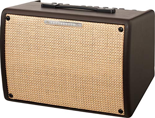 Ibanez T30Ii-U Amplificatore Combo Troubadour Per Chitarra Acustica, 30W